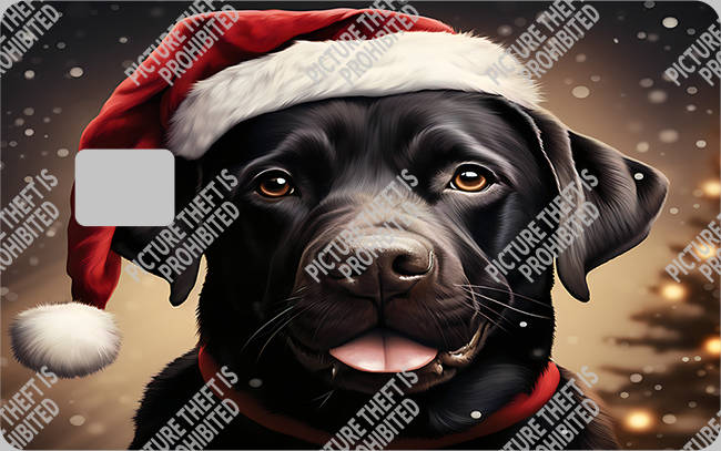 Bank  Card Sticker-BC-2604